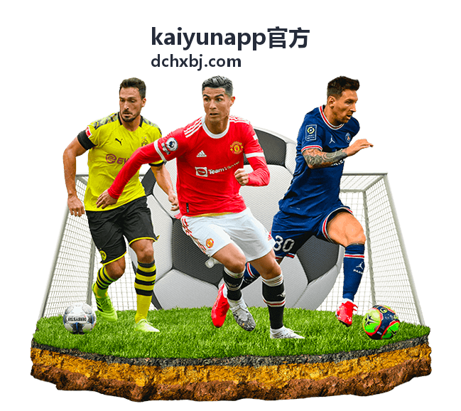 kaiyunapp官方 使用支持页面示意，展示常见问题排查与操作指引
