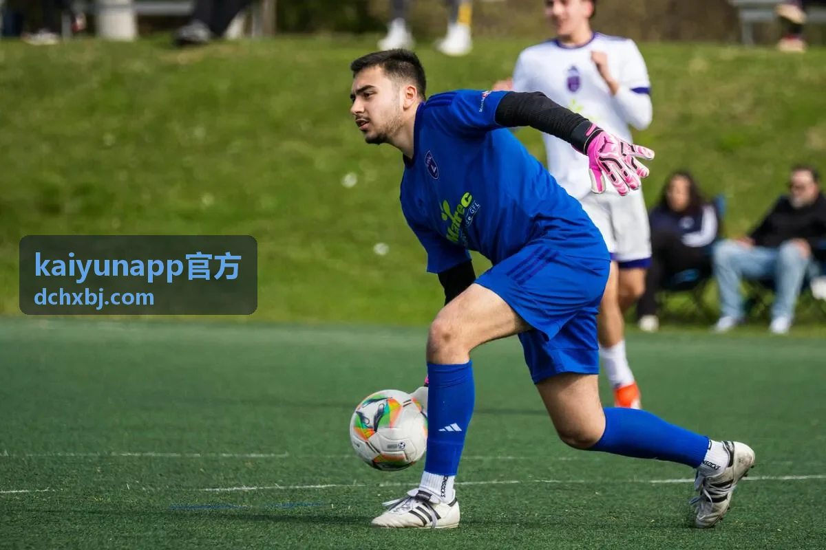 kaiyunapp官方 系统对接与技术支持服务说明图