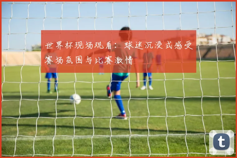 世界杯现场观看:球迷沉浸式感受赛场氛围与比赛激情
