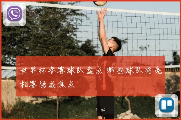 世界杯参赛球队盘点 哪些球队将亮相赛场成焦点