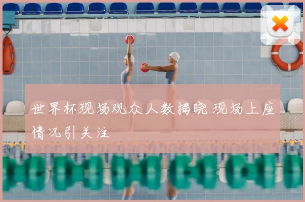 世界杯现场观众人数揭晓 现场上座情况引关注