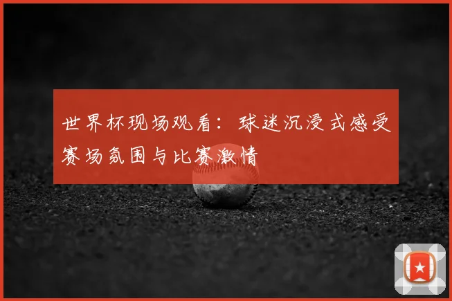 世界杯现场观看:球迷沉浸式感受赛场氛围与比赛激情