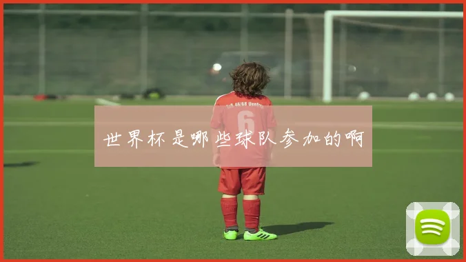 世界杯是哪些球队参加的啊