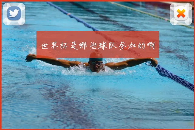 世界杯是哪些球队参加的啊