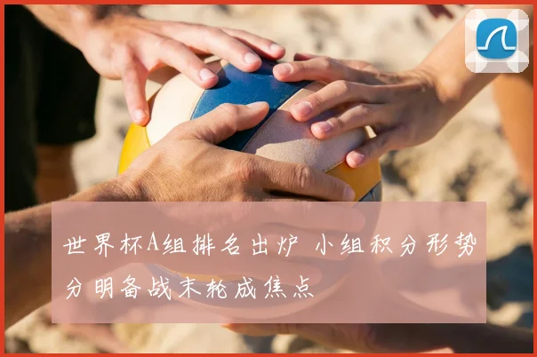 世界杯A组排名出炉 小组积分形势分明备战末轮成焦点