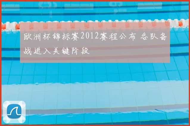 欧洲杯锦标赛2012赛程公布 各队备战进入关键阶段