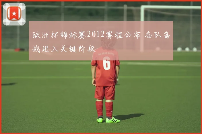欧洲杯锦标赛2012赛程公布 各队备战进入关键阶段