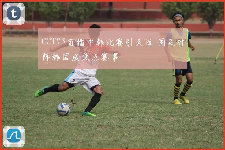 CCTV5直播中韩比赛引关注 国足对阵韩国成焦点赛事