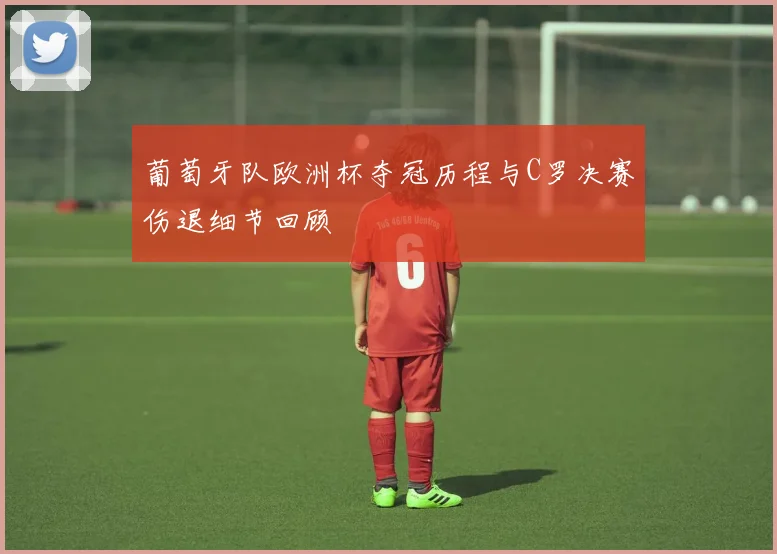 葡萄牙队欧洲杯夺冠历程与C罗决赛伤退细节回顾